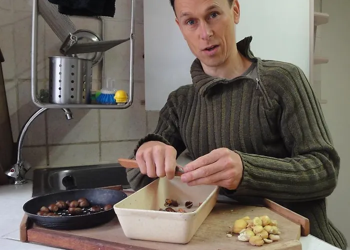 Frank's Backpackers Hostel *