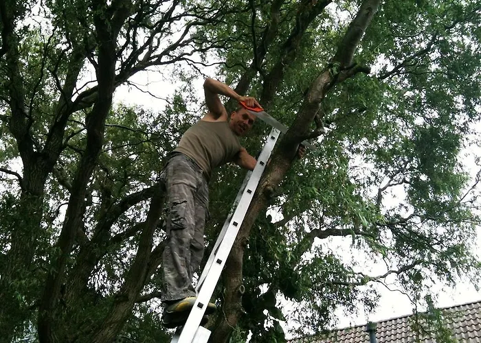 Frank's Backpackers Helmond